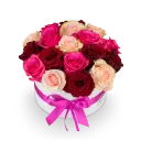 Květinový box růží